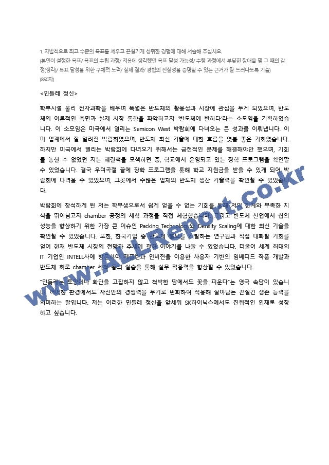 SK하이닉스 최종 합격 자기소개서 (전문가 작성본)   (1 )